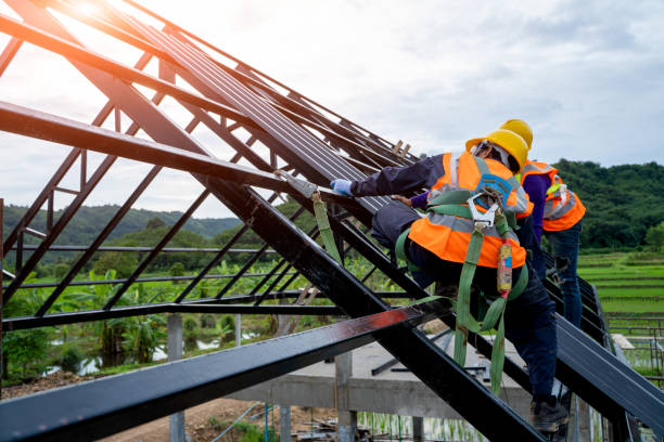 Best Roof Gutter Cleaning  in Holiday Island, AR