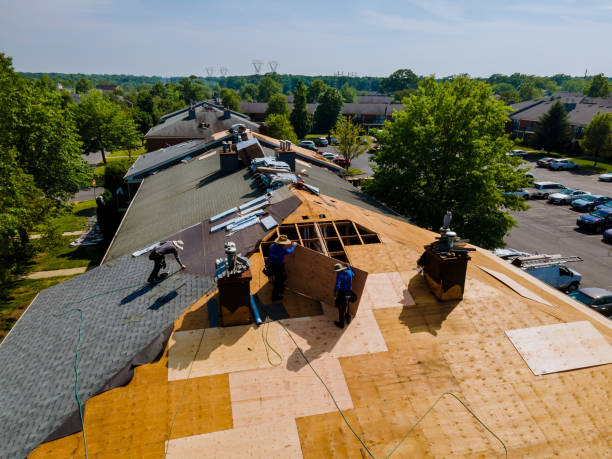Best Commercial Roofing Services  in Holiday Island, AR